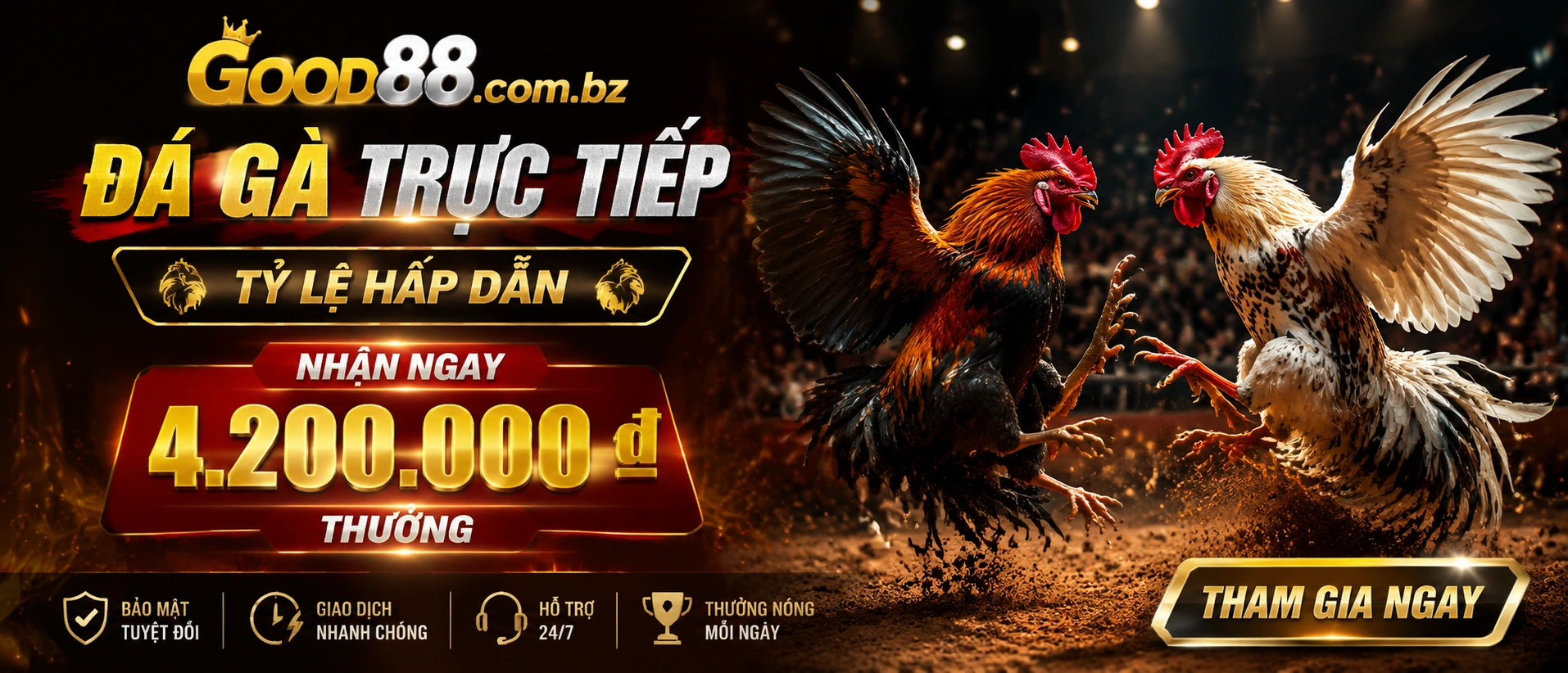 Đá Gà trực tiếp trên mobile